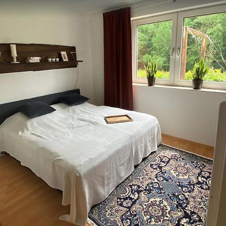 Haus Wiesengrund Winterberg Esterno foto